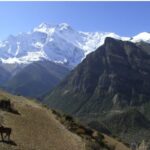 Annapurna Circuit Trekking Permits: Understanding the Laws and Fees