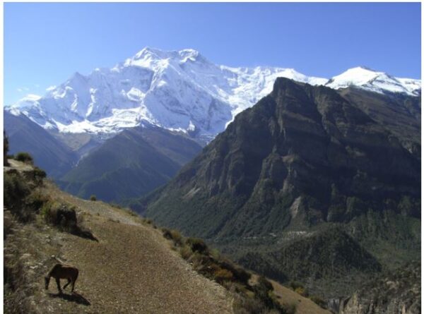 Annapurna Circuit Trekking Permits: Understanding the Laws and Fees