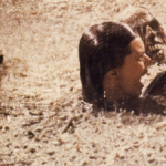 the 1982 movie poltergeist used real skeletons as - tymoff