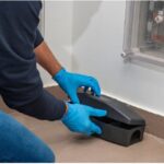 Mastering Pest Control in Chelmsford: A Comprehensive Overview