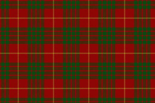 Rocking the Cameron Tartan with a Modern Twist