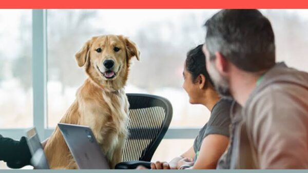 The Barking Truth About Online Dog Marketing: A Beginner’s Guide.