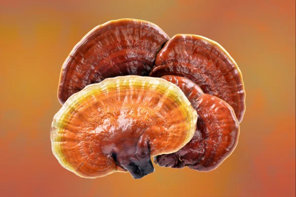 Mushroom Supplements vs Traditional Supplements