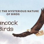 Hancock Bird
