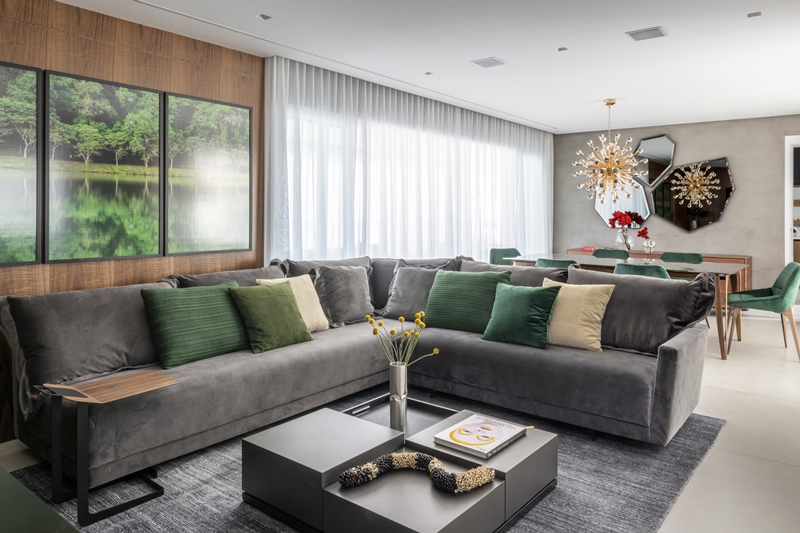 Home : Projeto Comprova