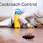 Cockroach Control