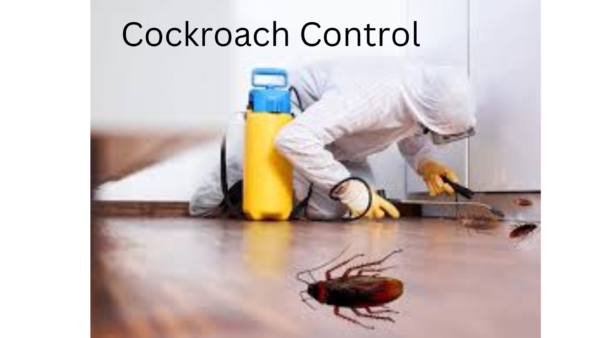 Top 10 Reasons to Hire Professional Cockroach Control Services