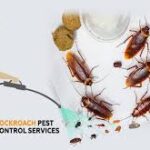 cockroach control services