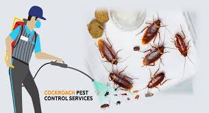 Comprehensive Guide to Effective Cockroach Control Services