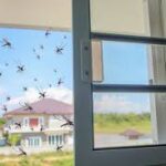 Window Mosquito Screens