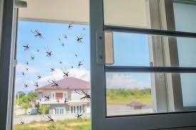 Window Mosquito Screens