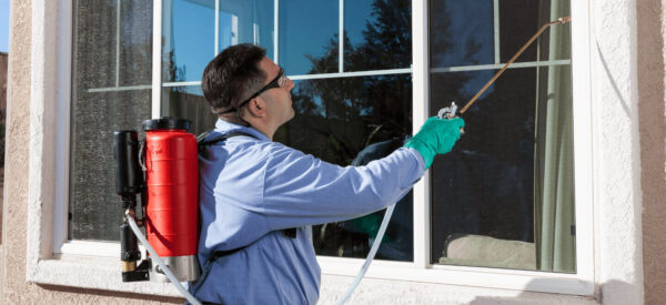 Top Benefits of Hiring Professional Pest Control Services in Nairobi