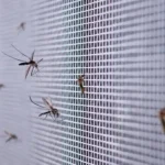 traditional and magnetic mosquito nets